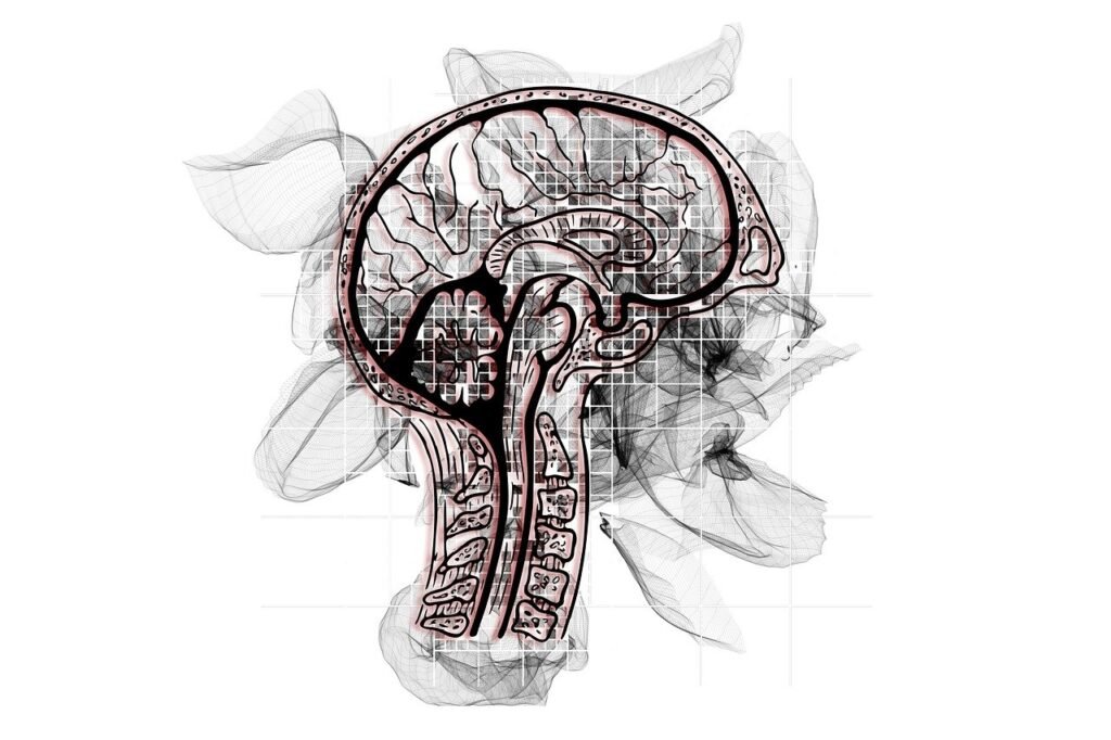 dementia, alzheimer's disease, brain-7420655.jpg